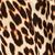 color BLACK LEOPARD 3
