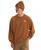 color Burnt Umber 2