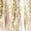 color Natural Cream Floral 1