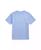 color Chambray blue 0