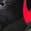 color Black/ University Red 11