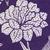 color PURPLE FLORAL 1