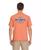 color Apricot 1