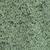 color Orbit Green 1