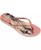 color Ballet Rose, Golden Blush, Rosa 1