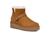 color Chestnut 1