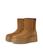 color Chestnut 1