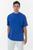 color Cobalt Blue 5