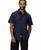 color Arctic navy 2