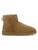 color CHESTNUT 1