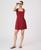 color Brick Red 2
