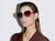 color Brown Gradient Polarized 2
