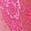color Pink 1