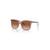 color Brown/Brown Gradient 0