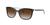 color Brown Gradient 0