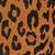 color SAGE LEOPARD TR 2