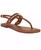 color Cognac 1