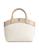 color Beige 1