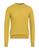 color Mustard 1