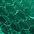 color green_elaphe 11