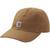 color Carhartt Brown 1