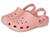 color Powder Pink 31