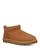 color Chestnut 1