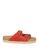 color Tomato red 2