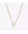 color Gold zodiac -pisces 5