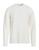 color Ivory 1
