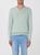 color MINT 1