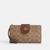 color signature canvas/Gold/Tan/Brown 4