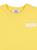 color Yellow 2