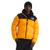 color Summit Gold / TNF Black - R 2
