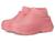 color Tropical Pink 5