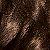 color 51 Medium Ash Brown 10