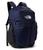 color TNF Navy/TNF Black-NPF 4