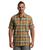 color Lion Pismo Plaid 0