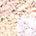 color 02 SATIN BLANC 1
