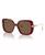 color Transparent Burgundy 1