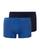color Dutch Blue 4