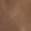 color Hickory 1