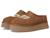 color Chestnut 1