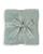 color Sage Green 4