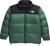 color Duck Green - TNF Black 1