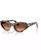 color Brown Tortoise 1