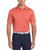 color Spiced Coral 1