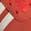 color Bright Red/ White/ Off White 6