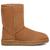 color Chestnut 0