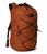 color Bark Mist/TNF Black 0